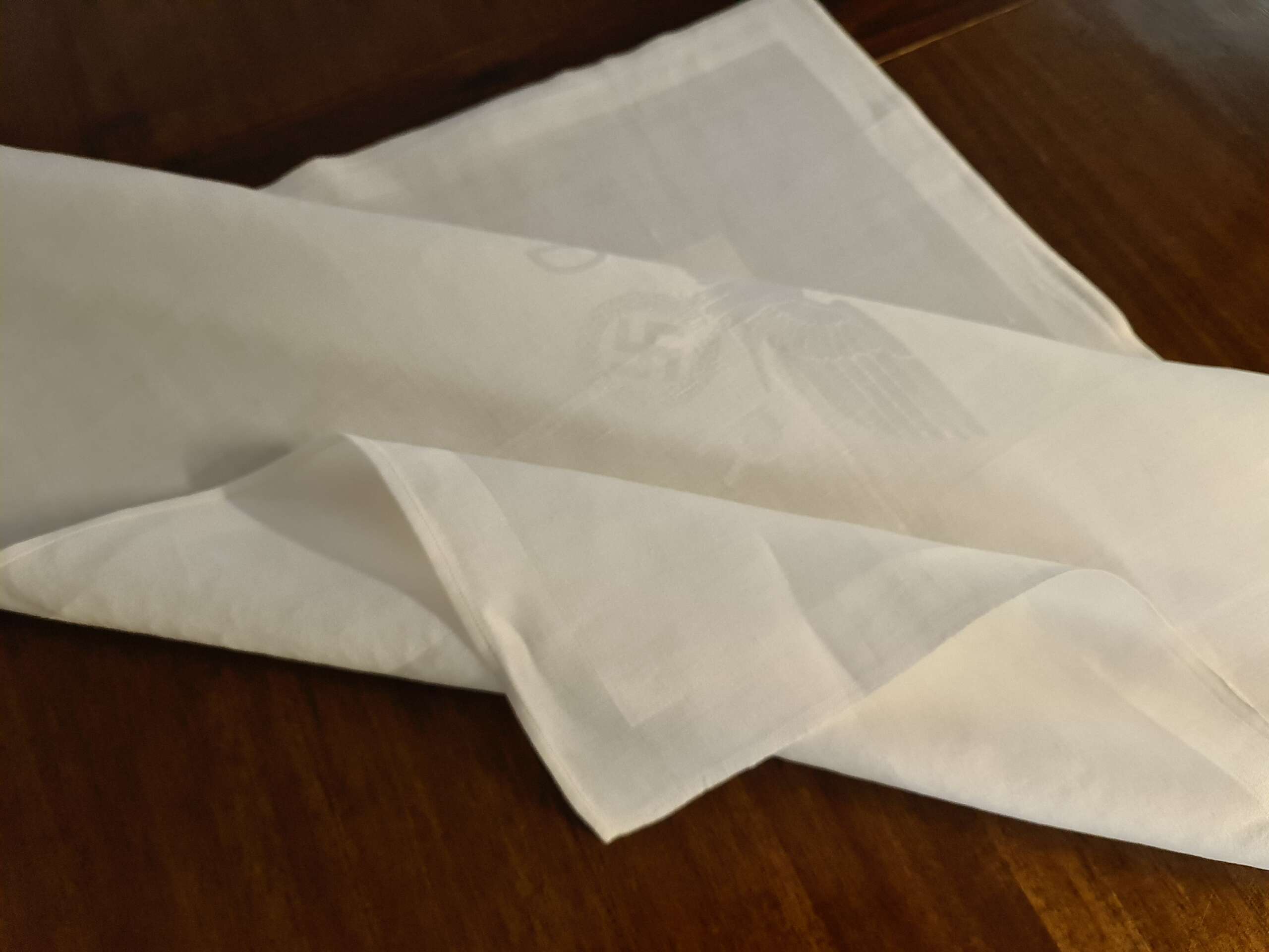 Deutsche Reichsbahn Informal Linen Napkin from Hermann Göring`s First Dining Wagon 10 ‘241’ (Larger size)