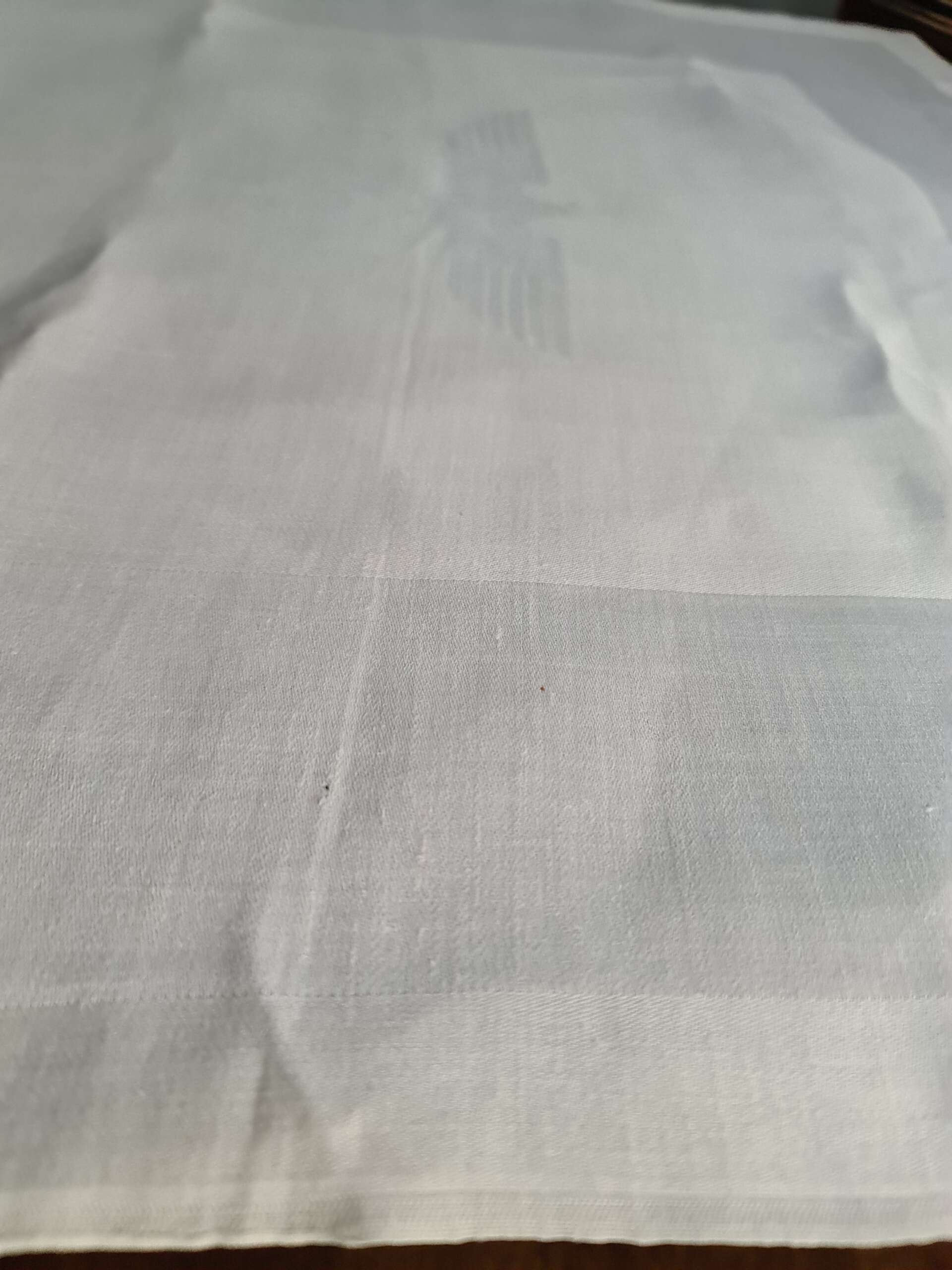 Deutsche Reichsbahn Informal Linen Napkin from Hermann Göring`s First Dining Wagon 10 ‘241’ (Larger size) - Image 2